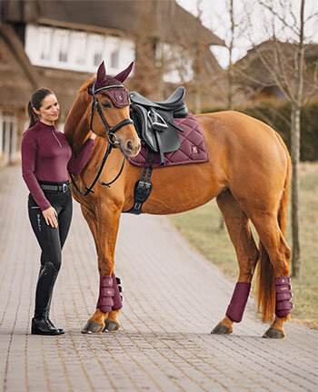 Felix Bhler Night Sky