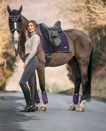 Felix Bhler Sophistication