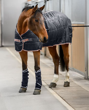 Thrapie et rgnration