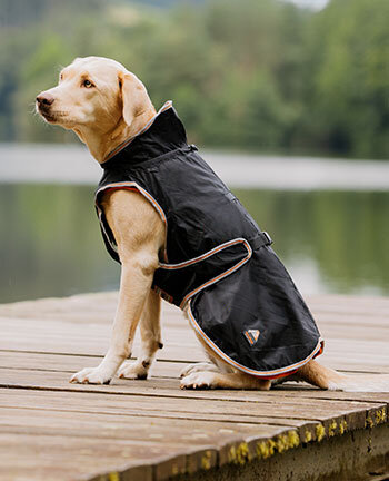 Articles thrapeutiques pour les chiens