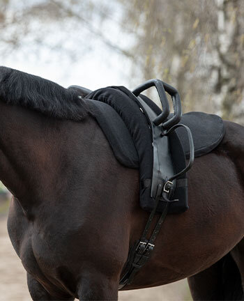 Surfaix & accessoires de voltige