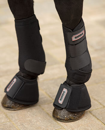 Protection des membres western