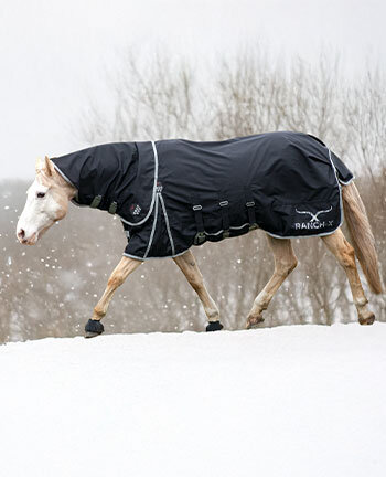 Couvertures pour chevaux western & accessoires