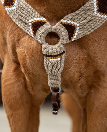 Colliers de chasse western