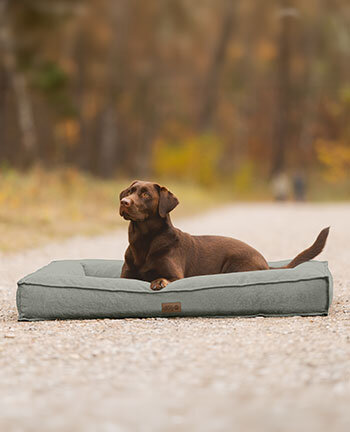 Lit et paniers pour chien