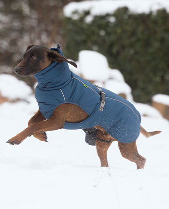 Manteaux d'hiver pour chiens