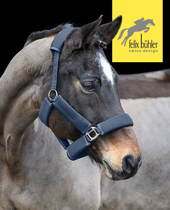 Felix B�hler Licols & longes