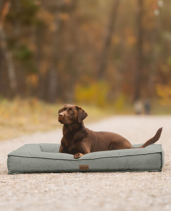 Couchages pour chien