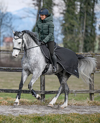 Couvre-reins