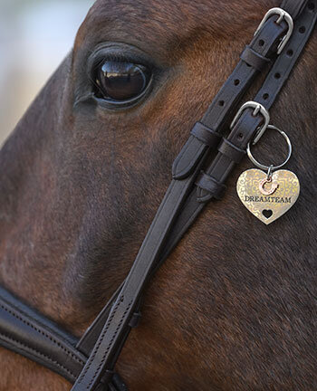Accessoires de briderie
