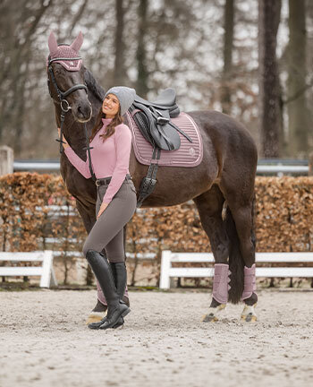 Collections pour poneys