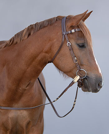 Bridons western & accessoires