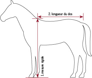 Veuillez passer Large & slow-Hi High Viz gilet taille manteau cheval poney équitation