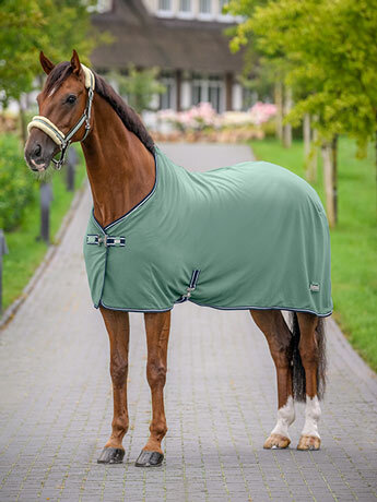 Kramer Equitation | Sellerie en ligne et matériel d'équitation