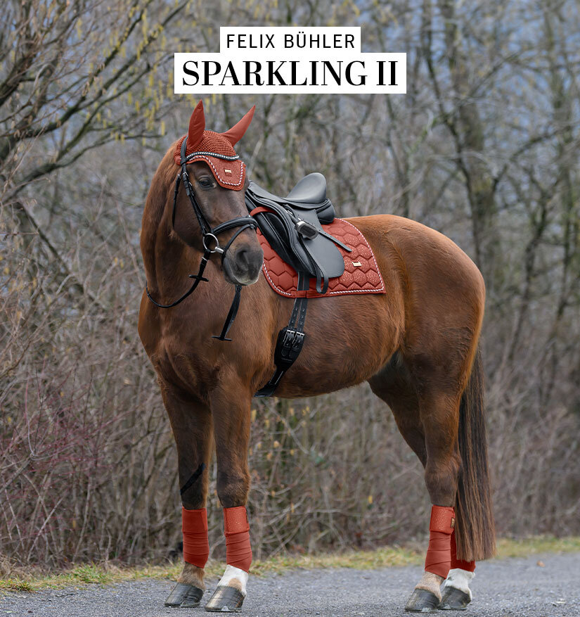 Kramer Equitation | Sellerie en ligne et matériel d'équitation