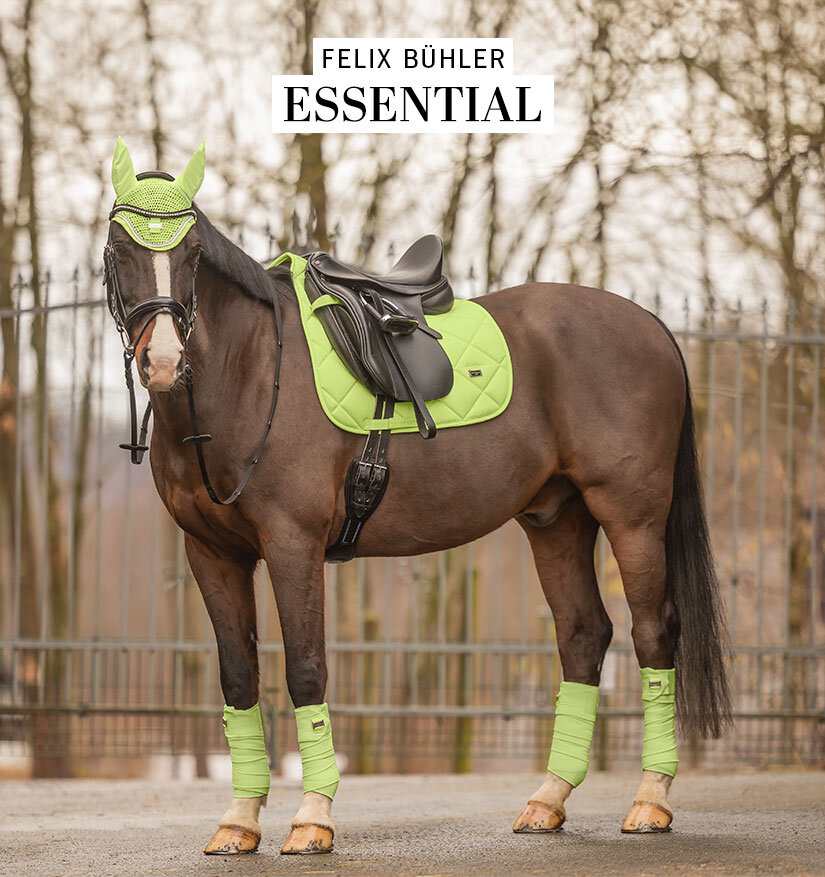 Kramer Equitation | Sellerie en ligne et matériel d'équitation