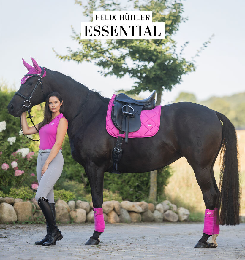 Kramer Equitation | Sellerie en ligne et matériel d'équitation