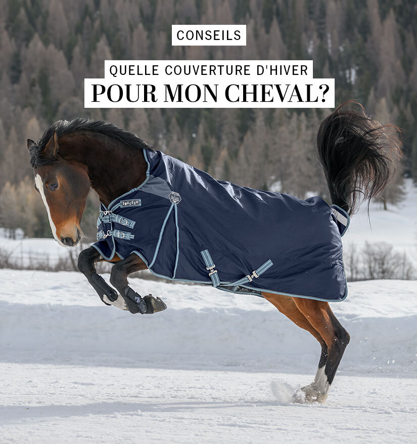 Kramer Equitation | Sellerie en ligne et matériel d'équitation