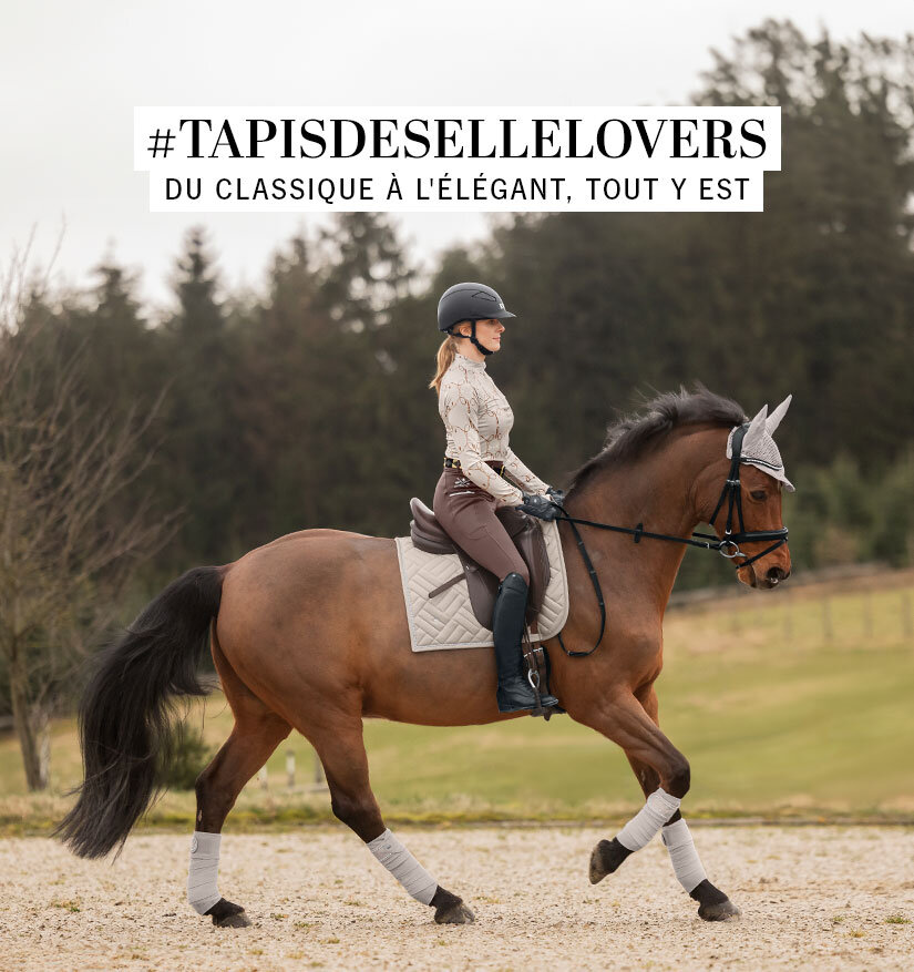 Kramer Equitation | Sellerie en ligne et matériel d'équitation