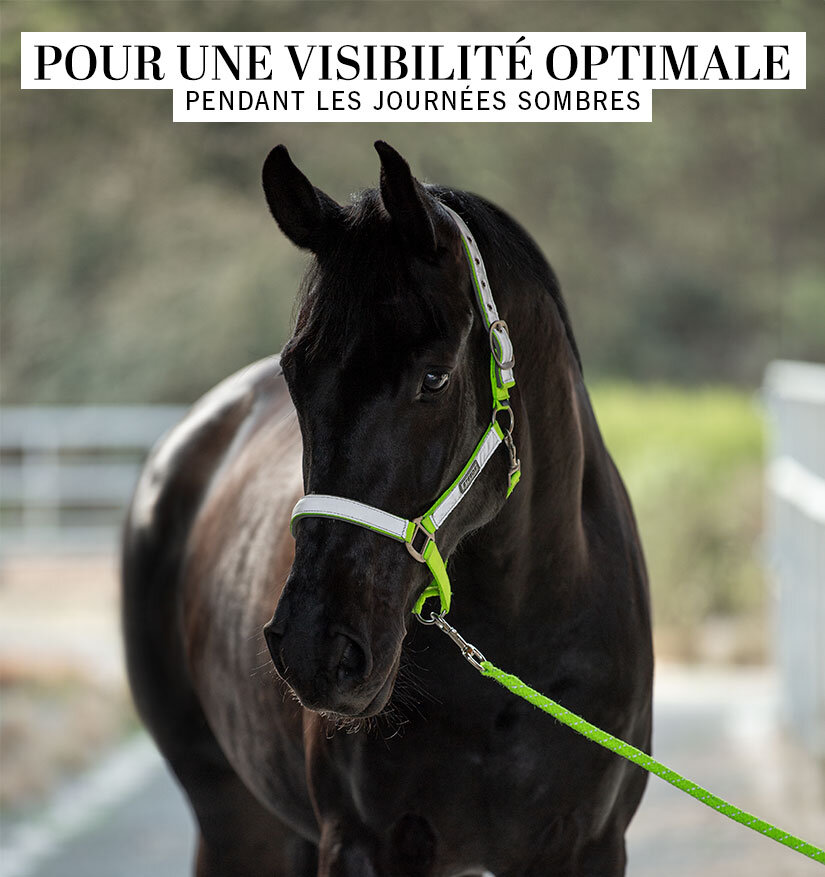 Kramer Equitation | Sellerie en ligne et matériel d'équitation