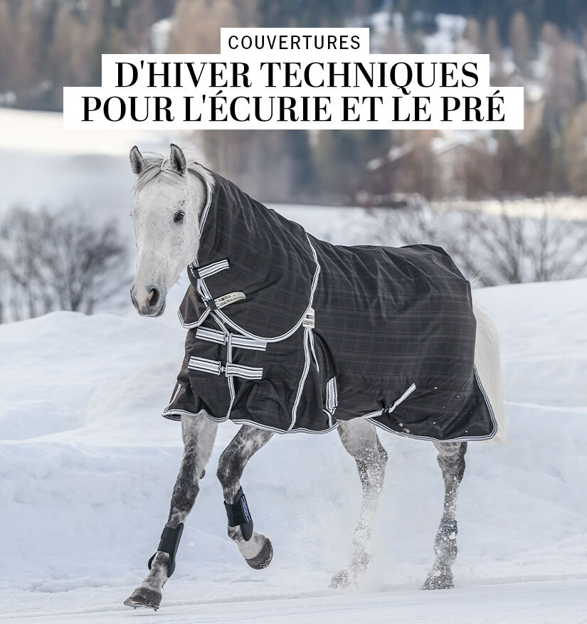 Kramer Equitation | Sellerie en ligne et matériel d'équitation