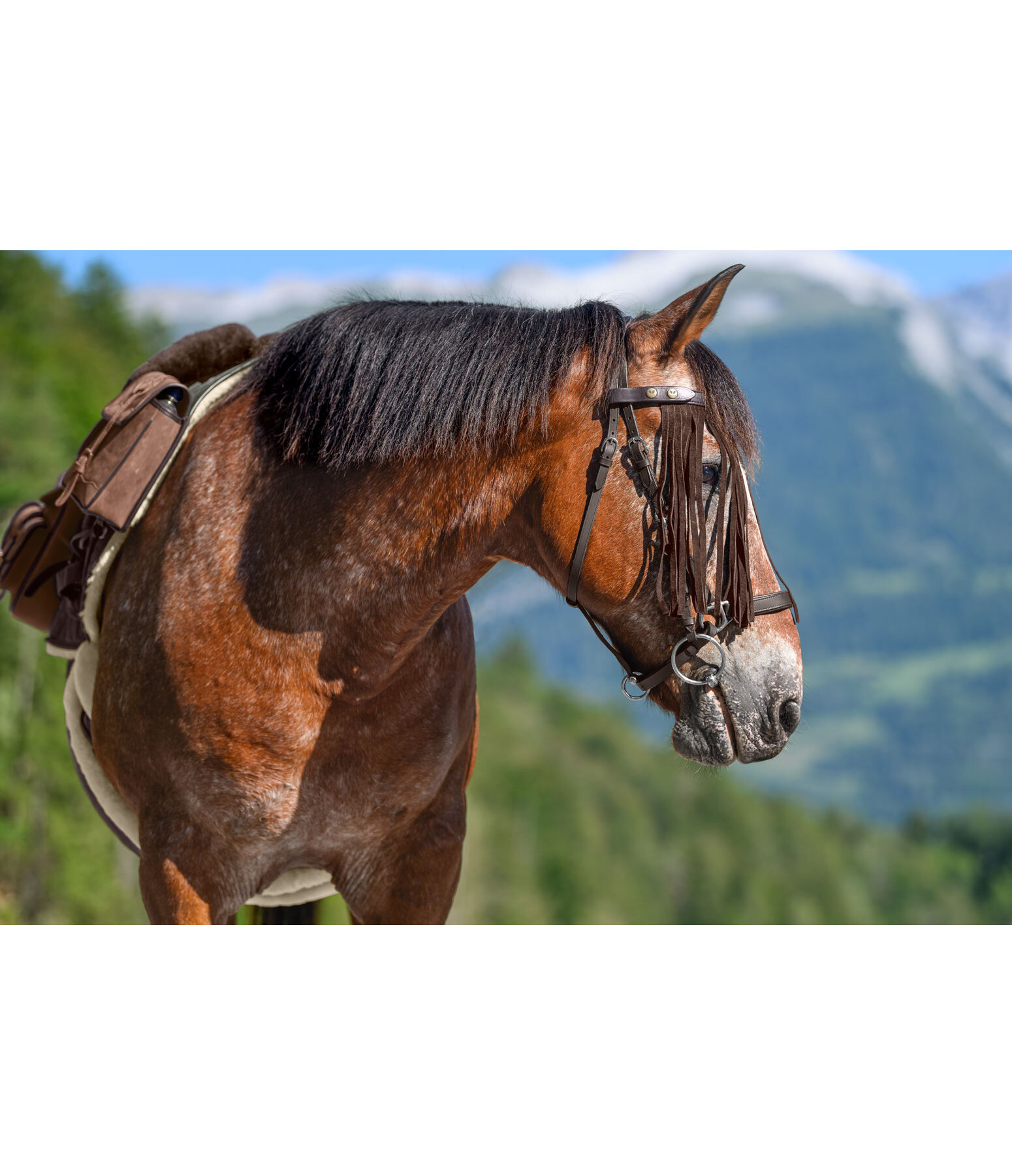 Franges Anti-mouches Avec Filet D'oreille Pour Cheval - Protection Yeux Et Oreilles