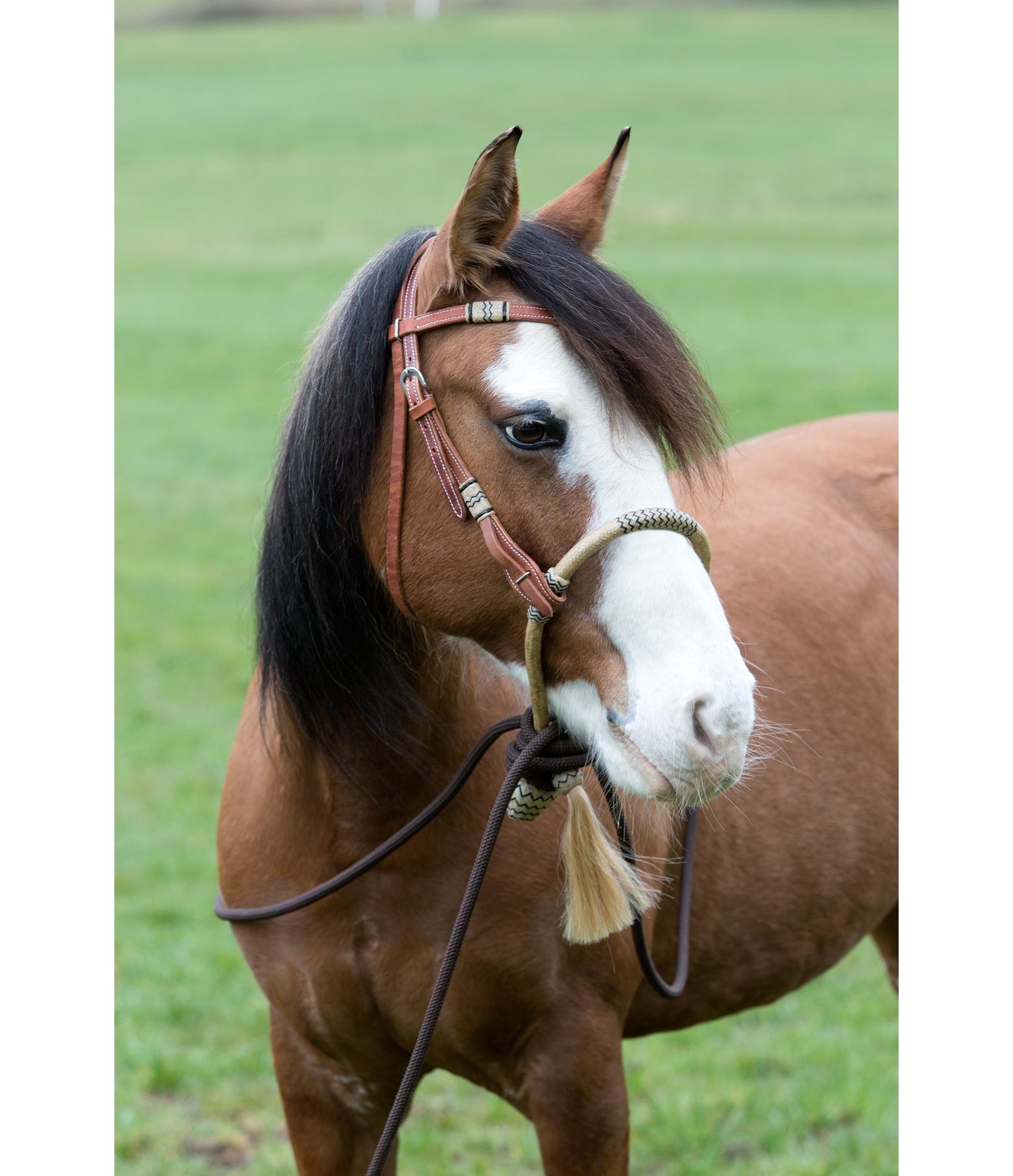Bosal Pour Cheval En Cuir Brut Naturel - 40 Tresses Marron