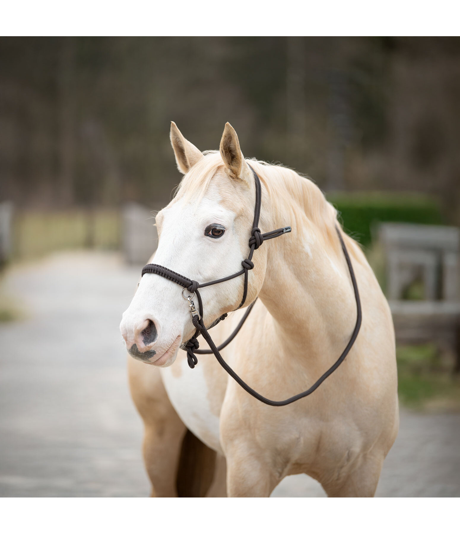 Ensemble licol  noeuds  All-in-One