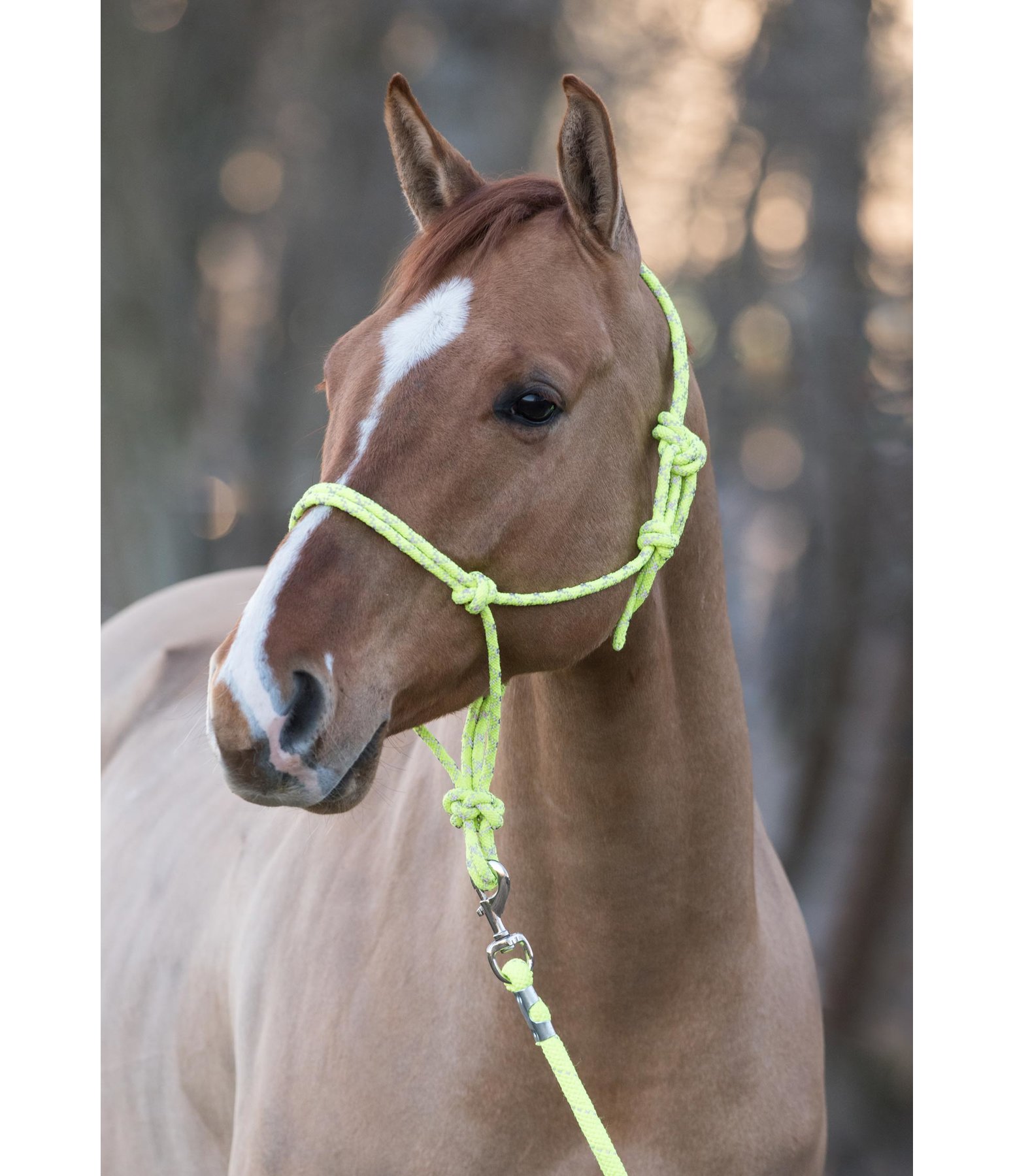 HKM 10025 Set Licol Avec Étoiles Et Tricot Mousqueton - Pony Shetty VB WB - Longueur 180 Cm