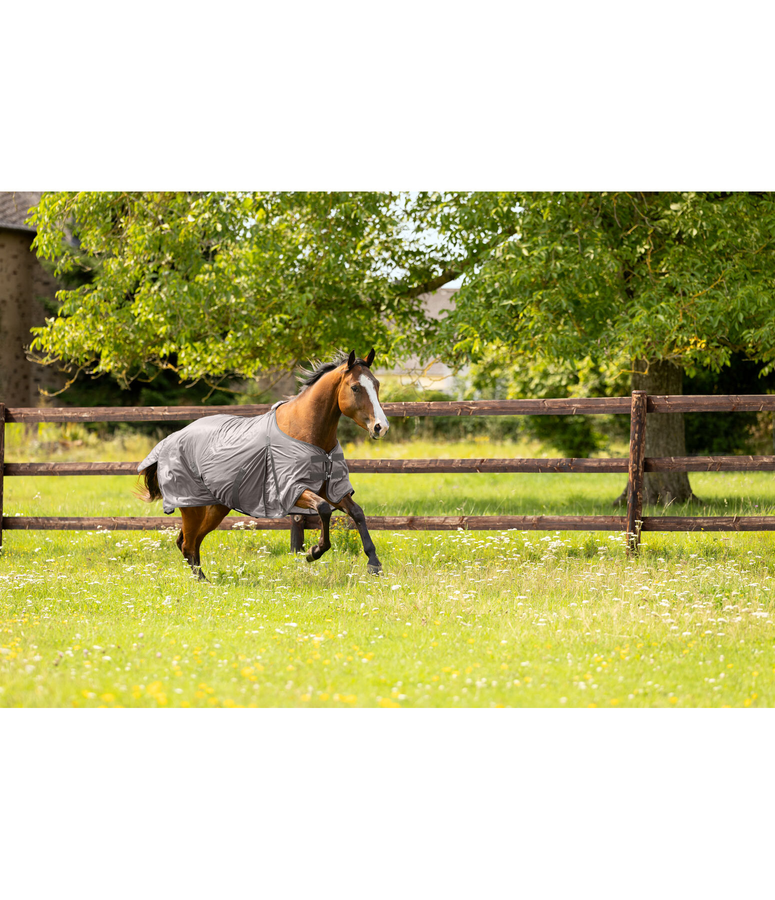 Chemise anti-mouches  Breeze