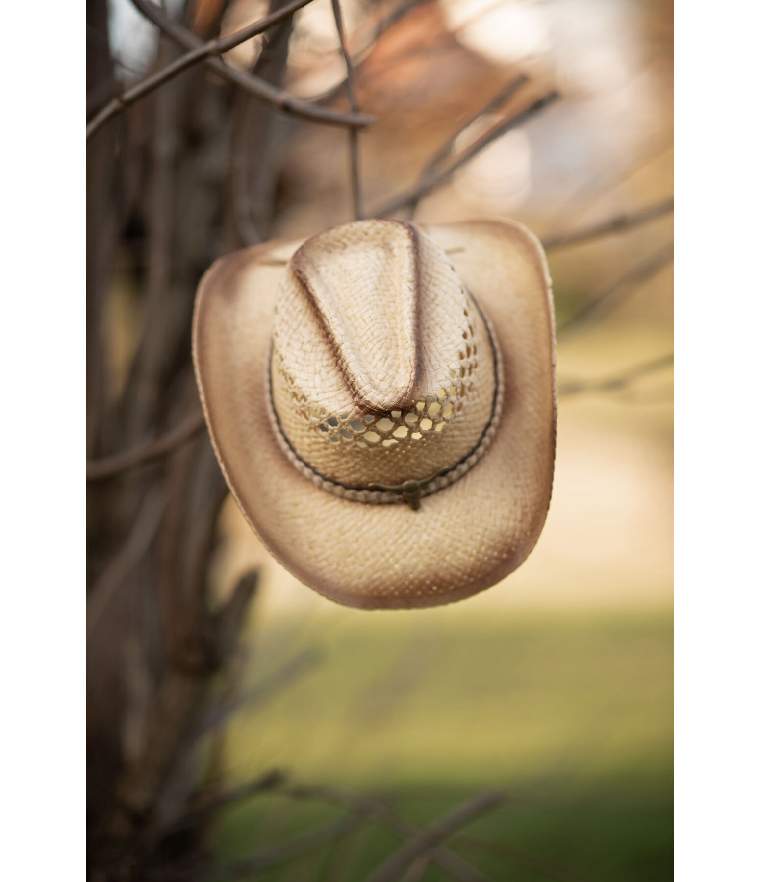 Chapeau de paille  Longhorn