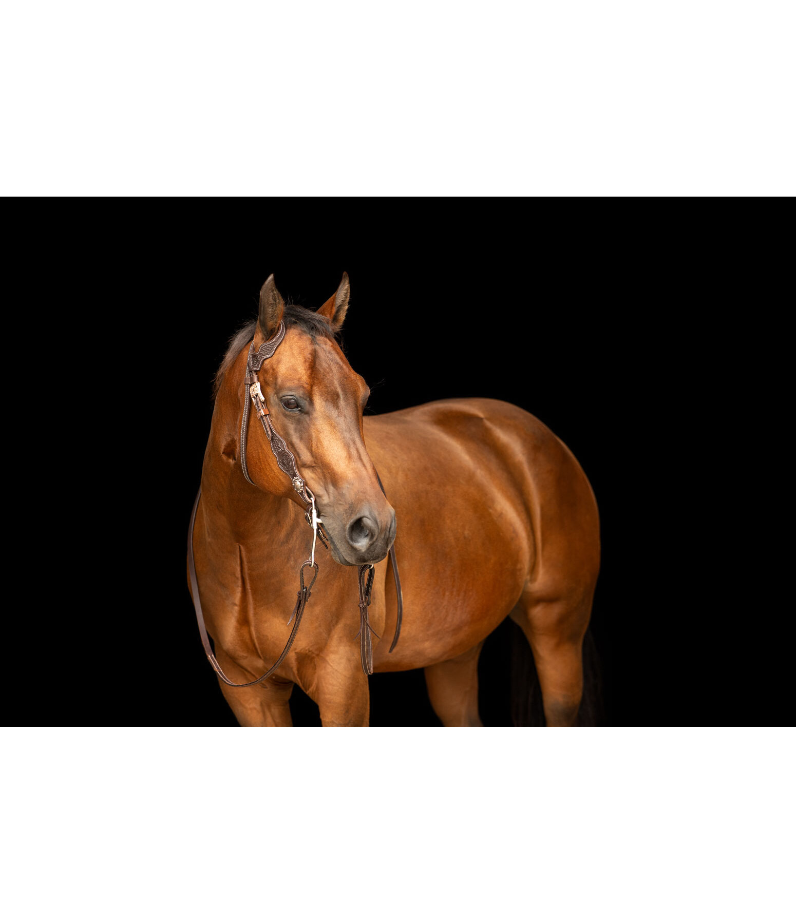 Bridon western  Copper