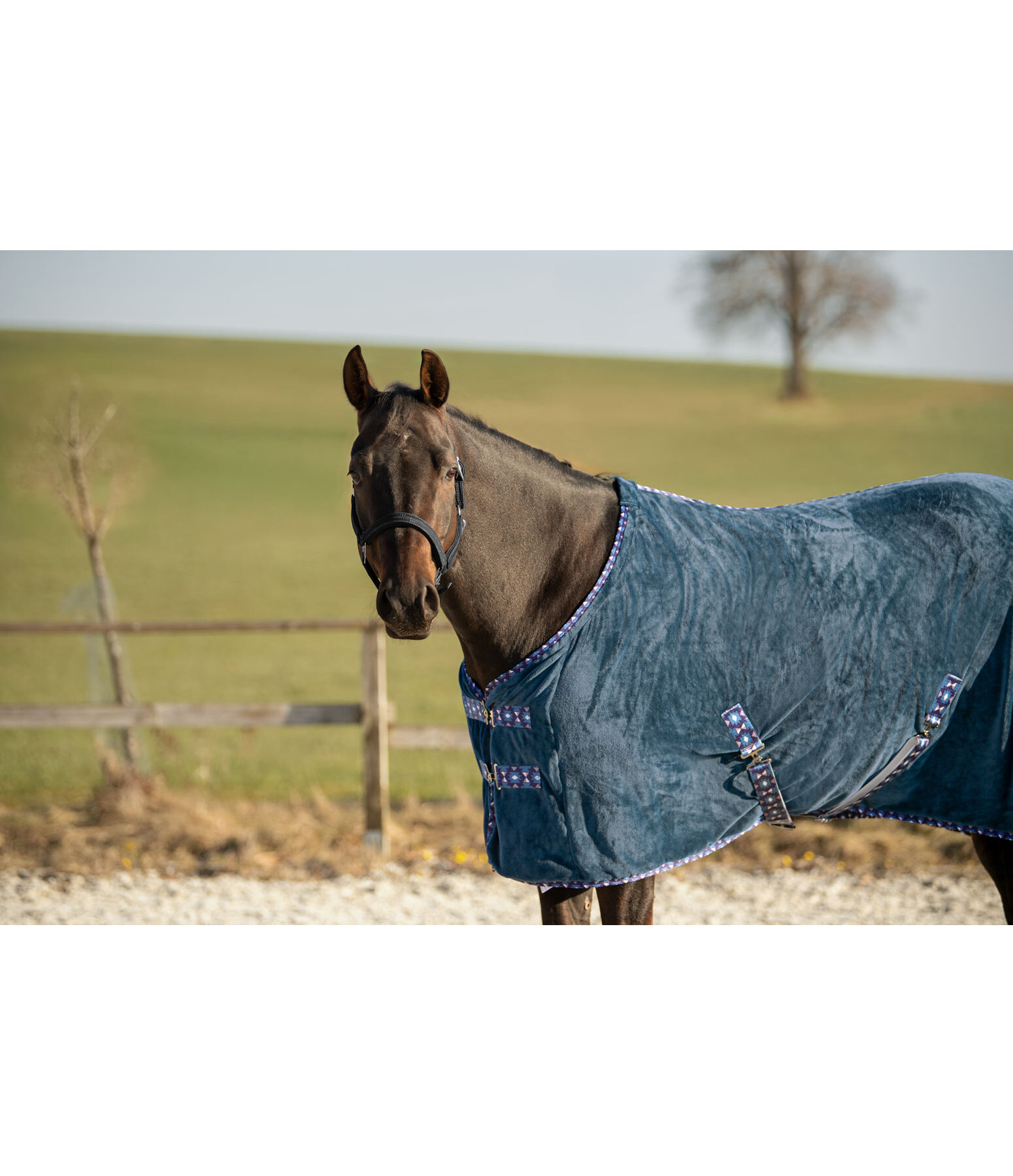 Chemise s�chante  Sitka