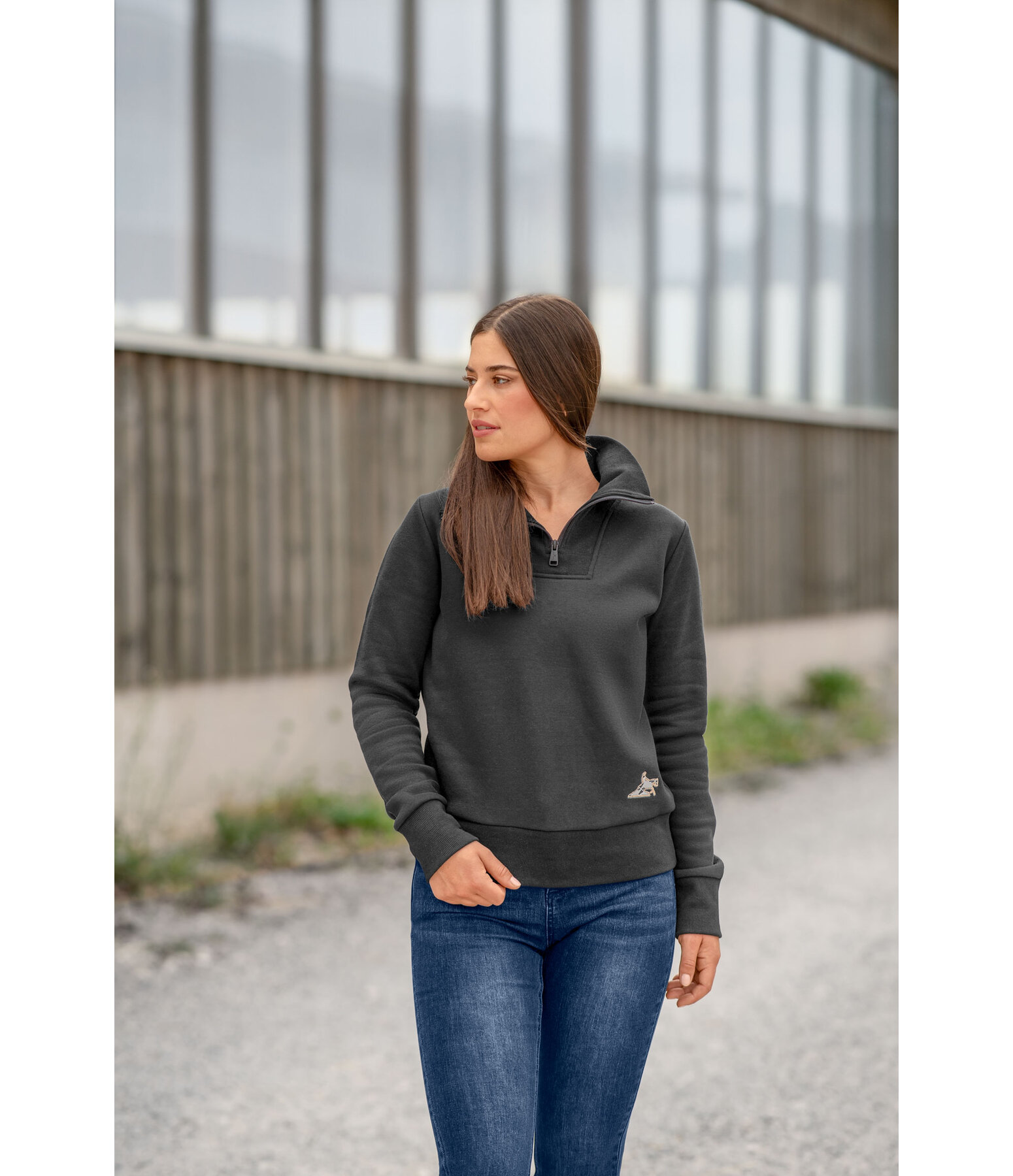 Pullover � col zipp�  Reign