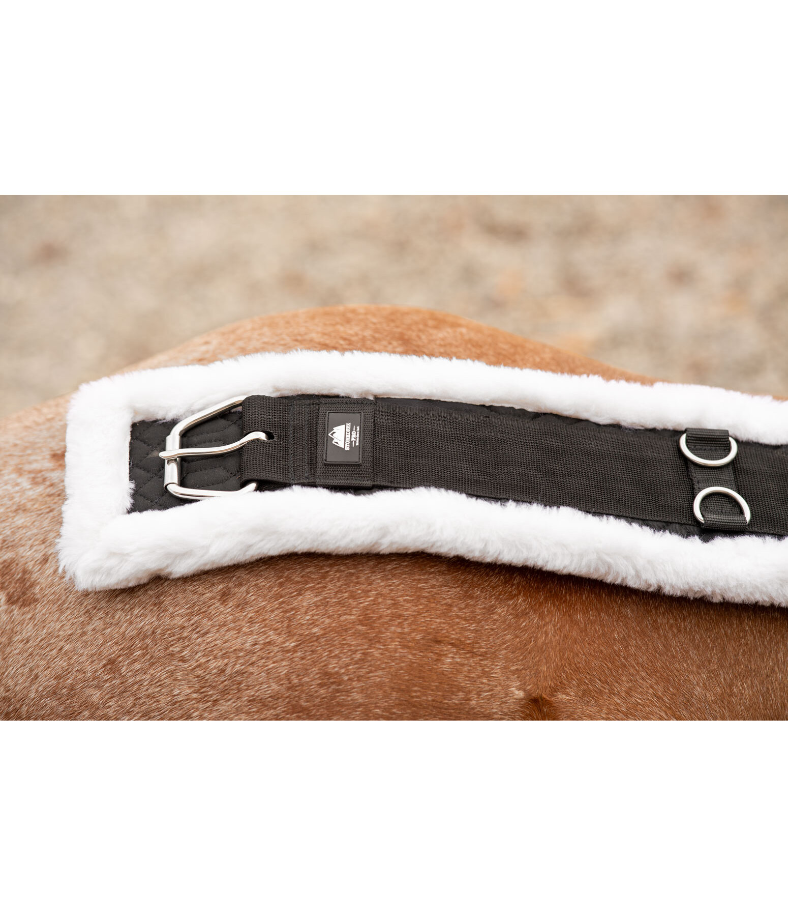 Sangle western pro  Comfort Wool