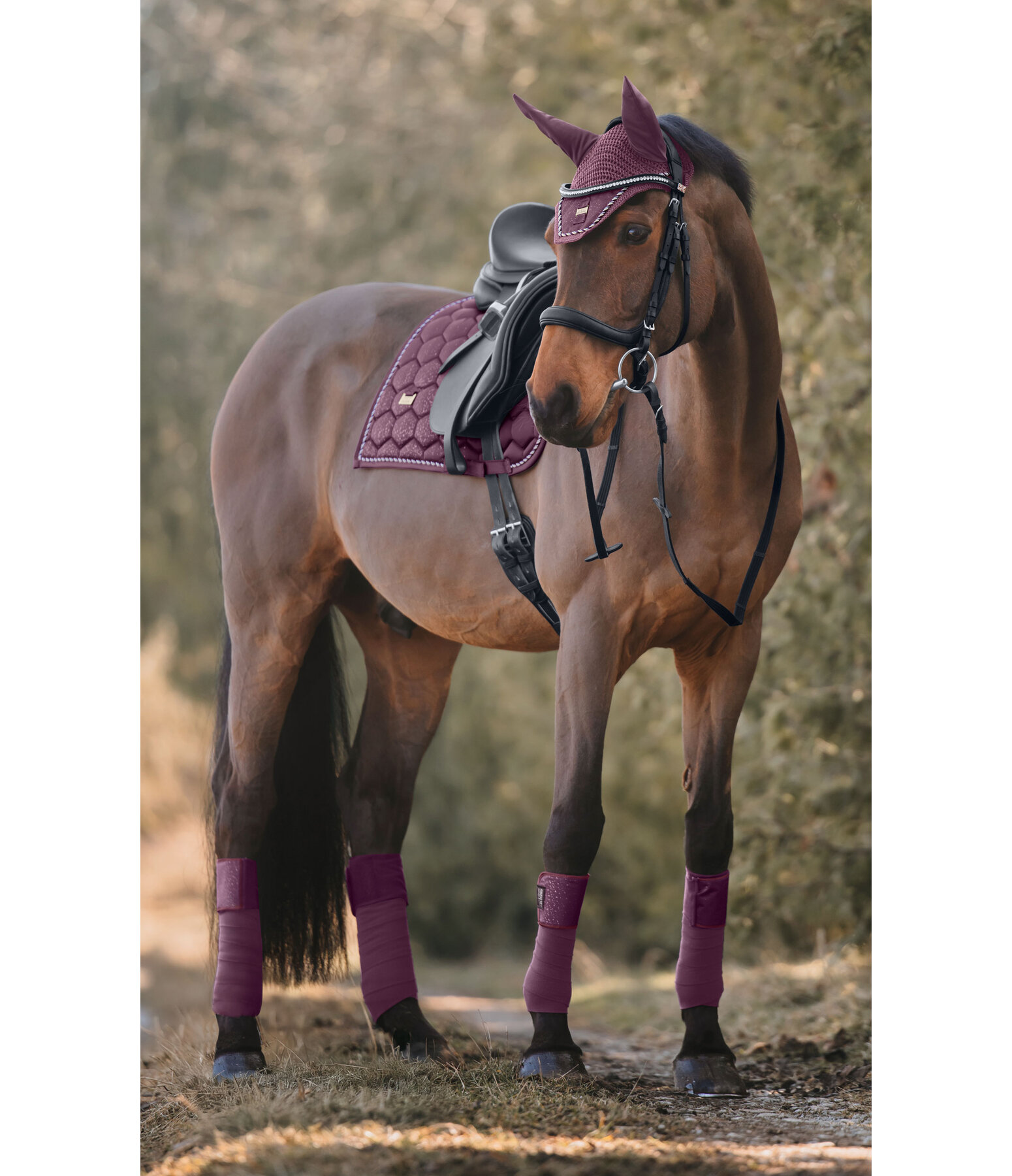 Tapis de selle  Sparkling II