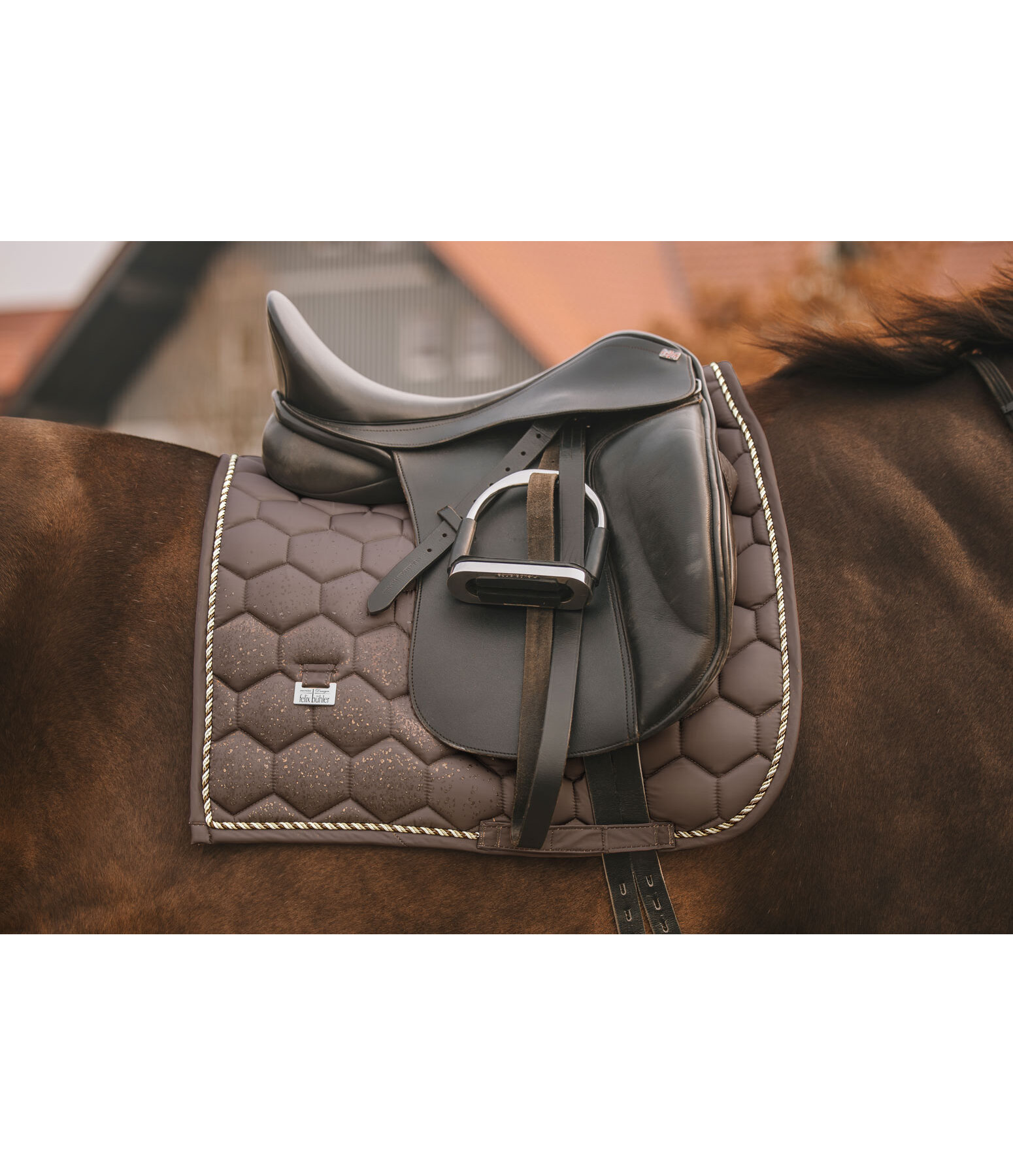 Tapis de selle  Sparkling II