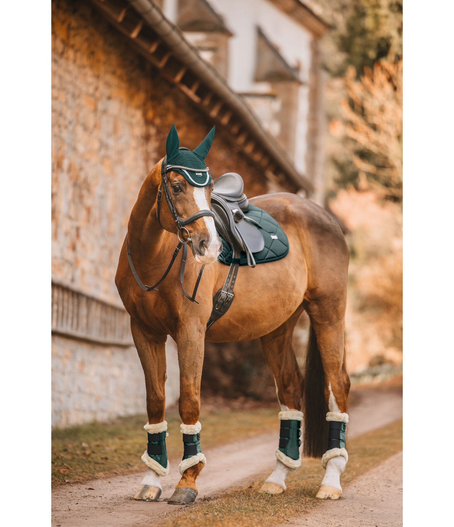 Tapis de selle  Essential Standard