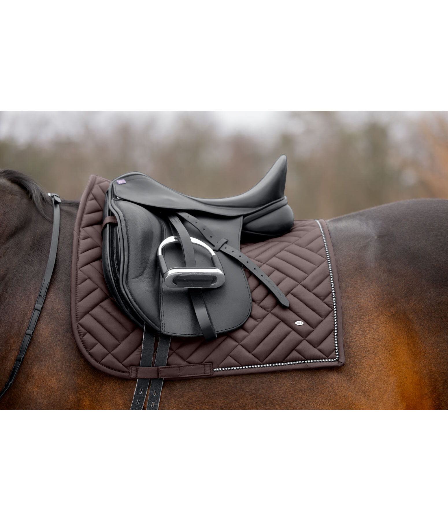 Tapis de selle  Brillant