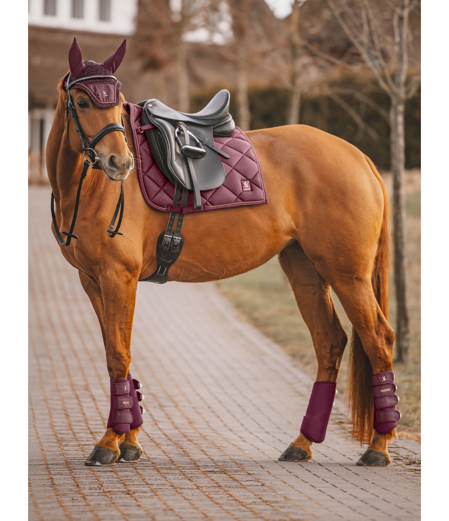 Tapis de selle  Night Sky