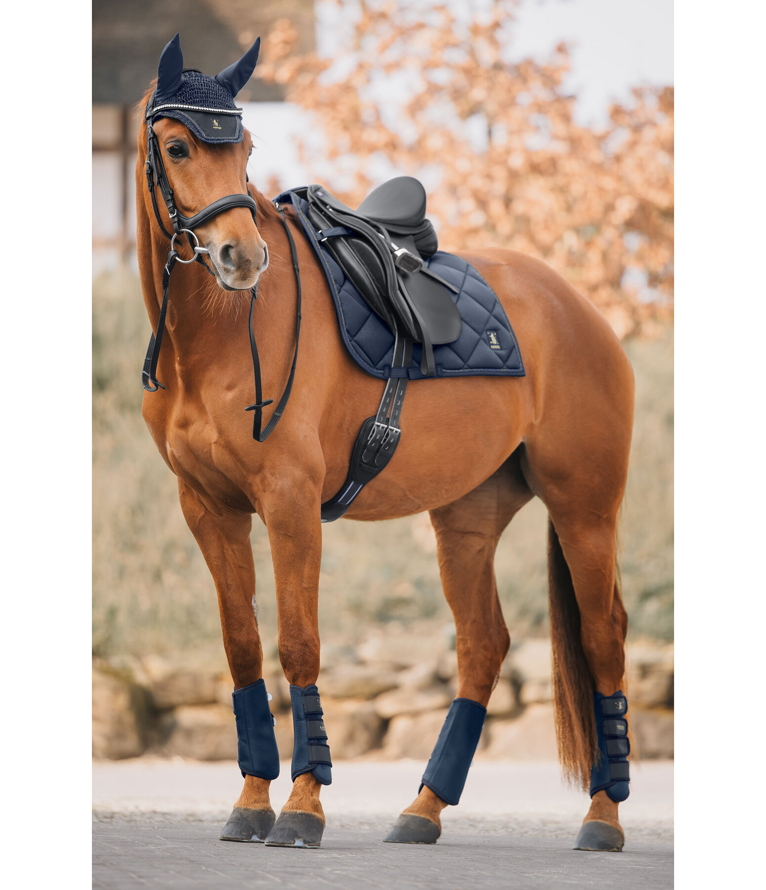 Tapis de selle  Night Sky