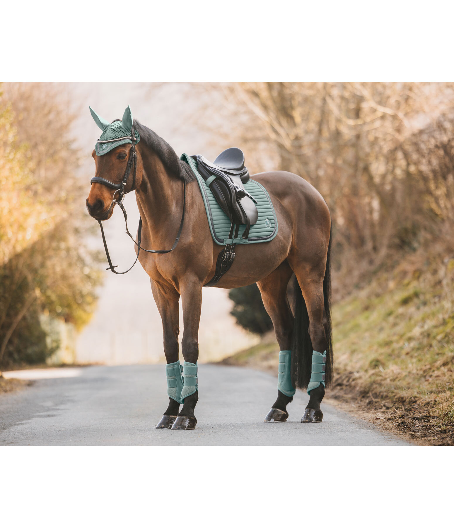 Tapis de selle  Glitter