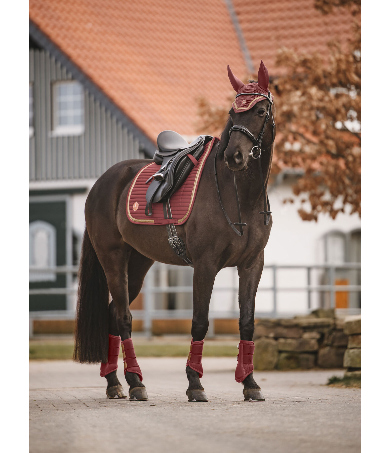 Tapis de selle  Glitter