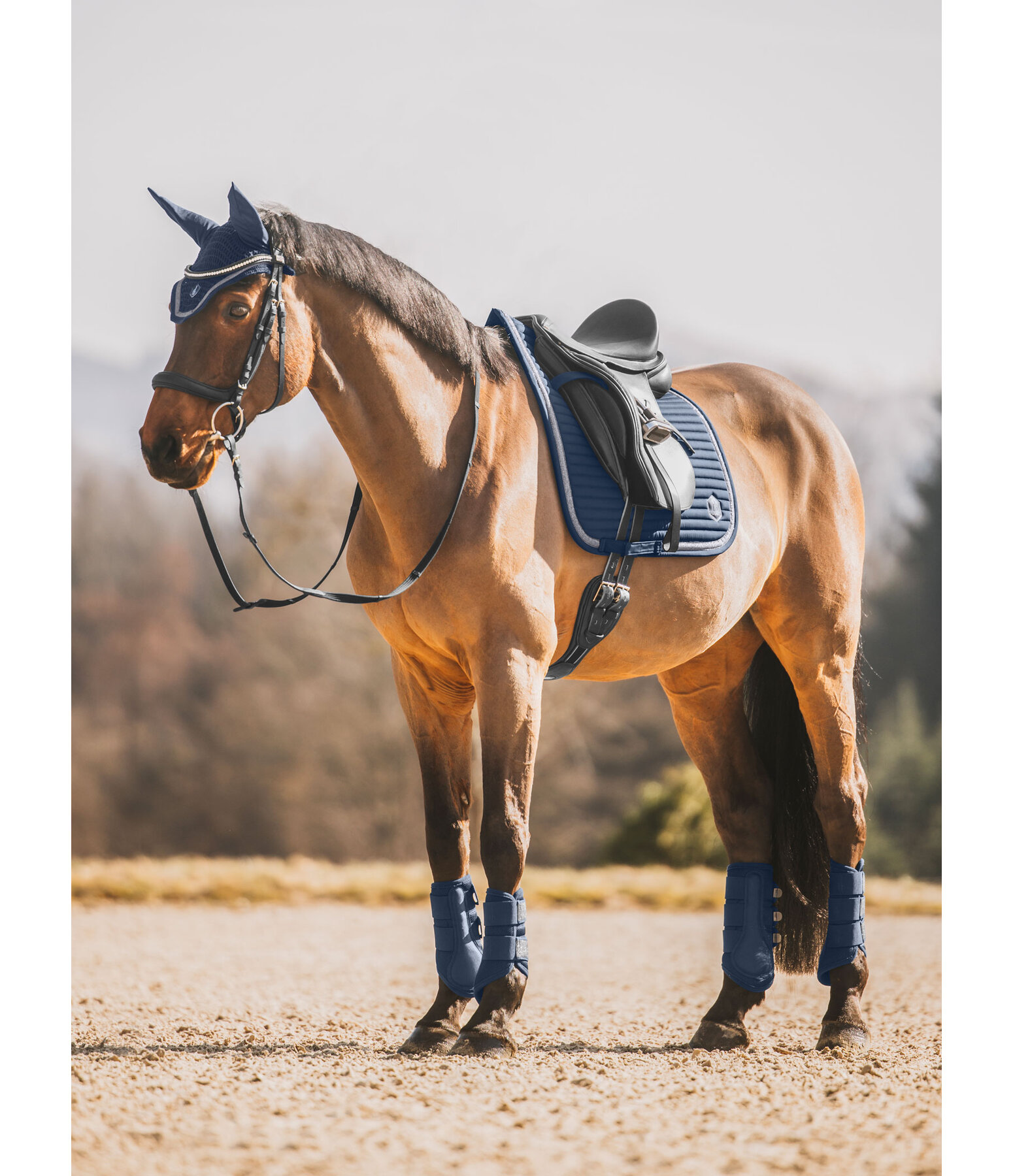 Tapis de selle  Glitter