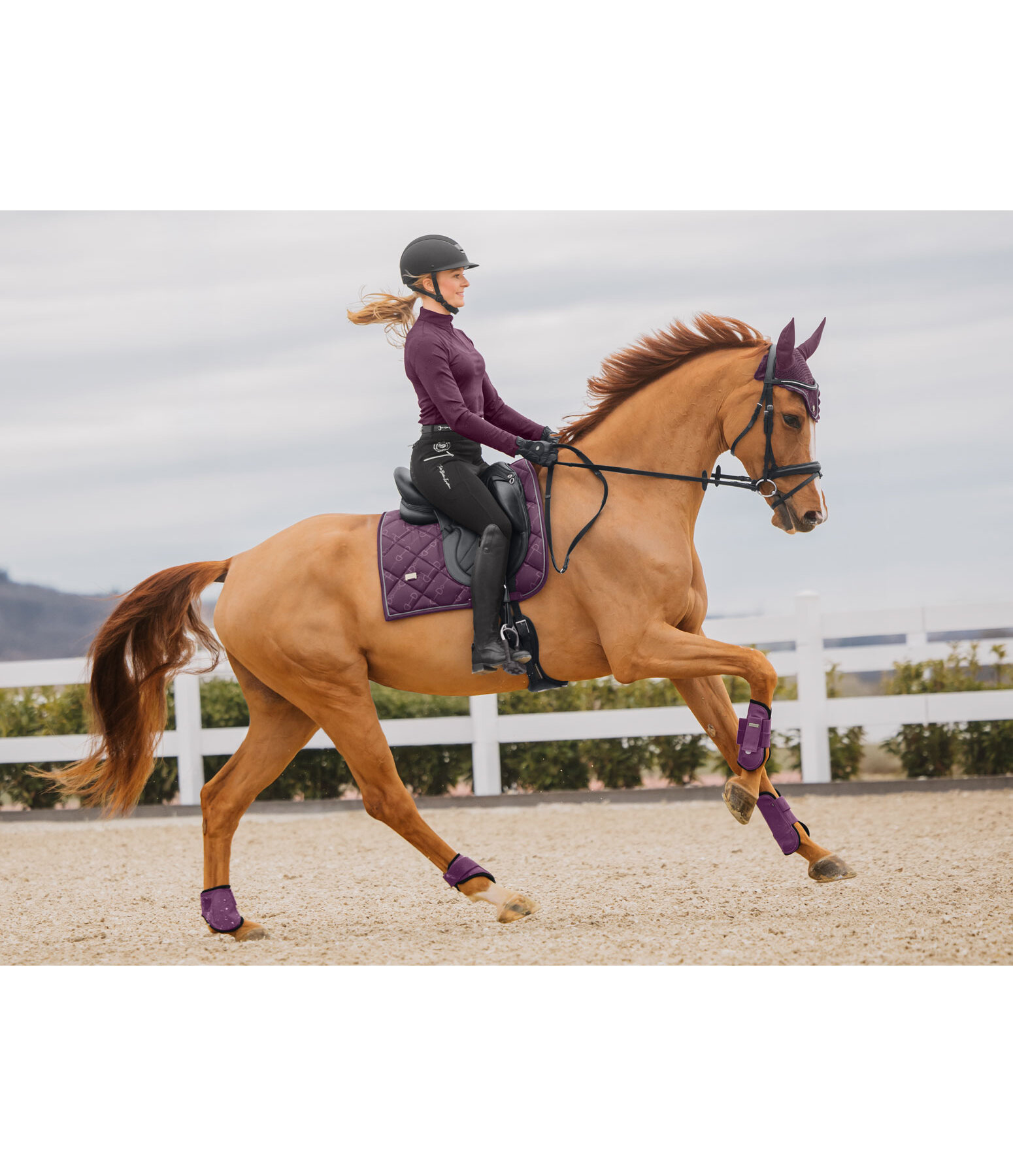 Tapis de selle  Signature II