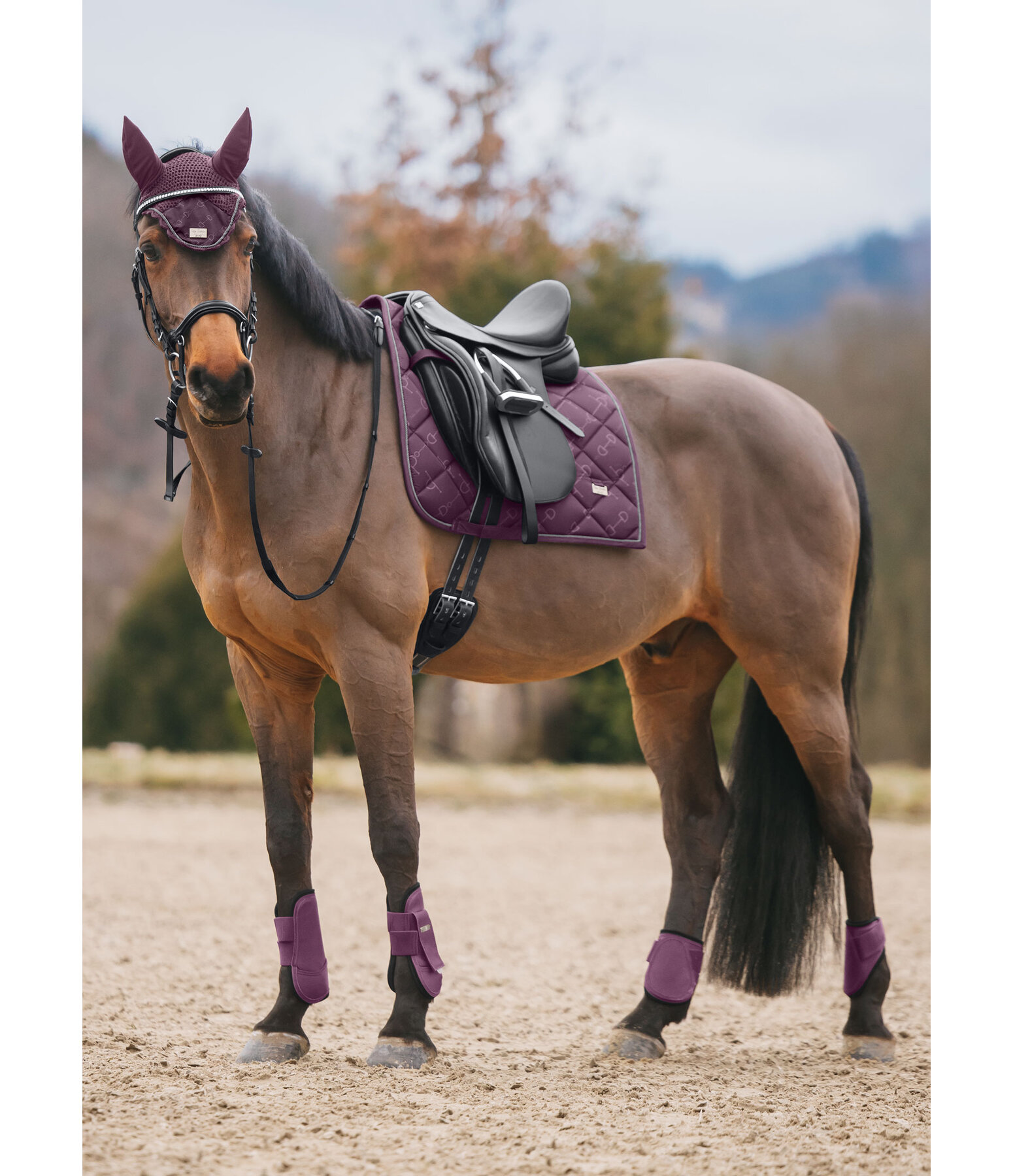 Tapis de selle  Signature II