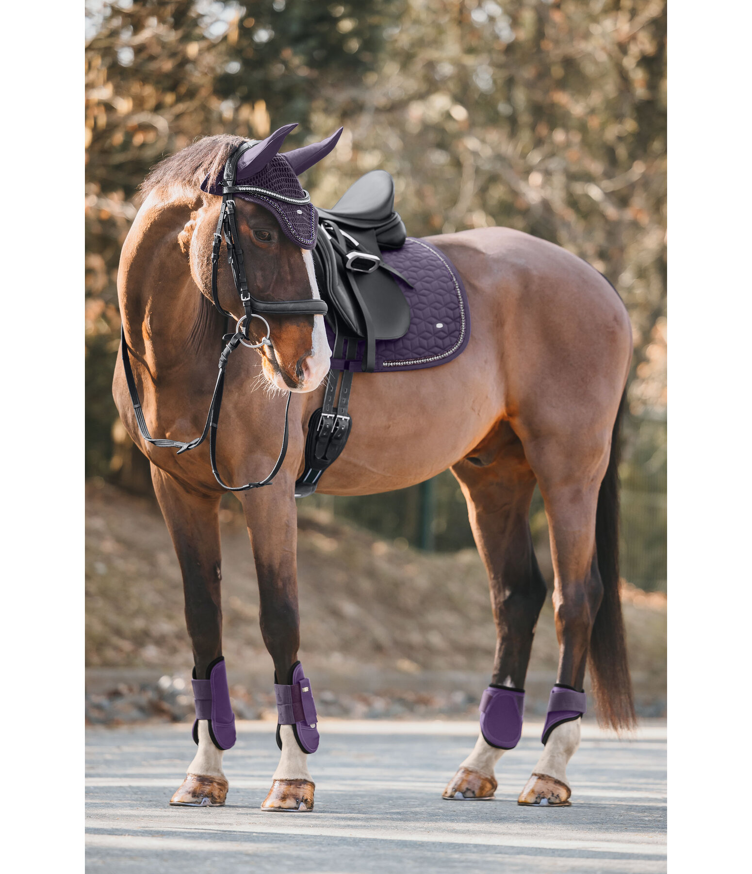 Tapis de selle  Twinkle