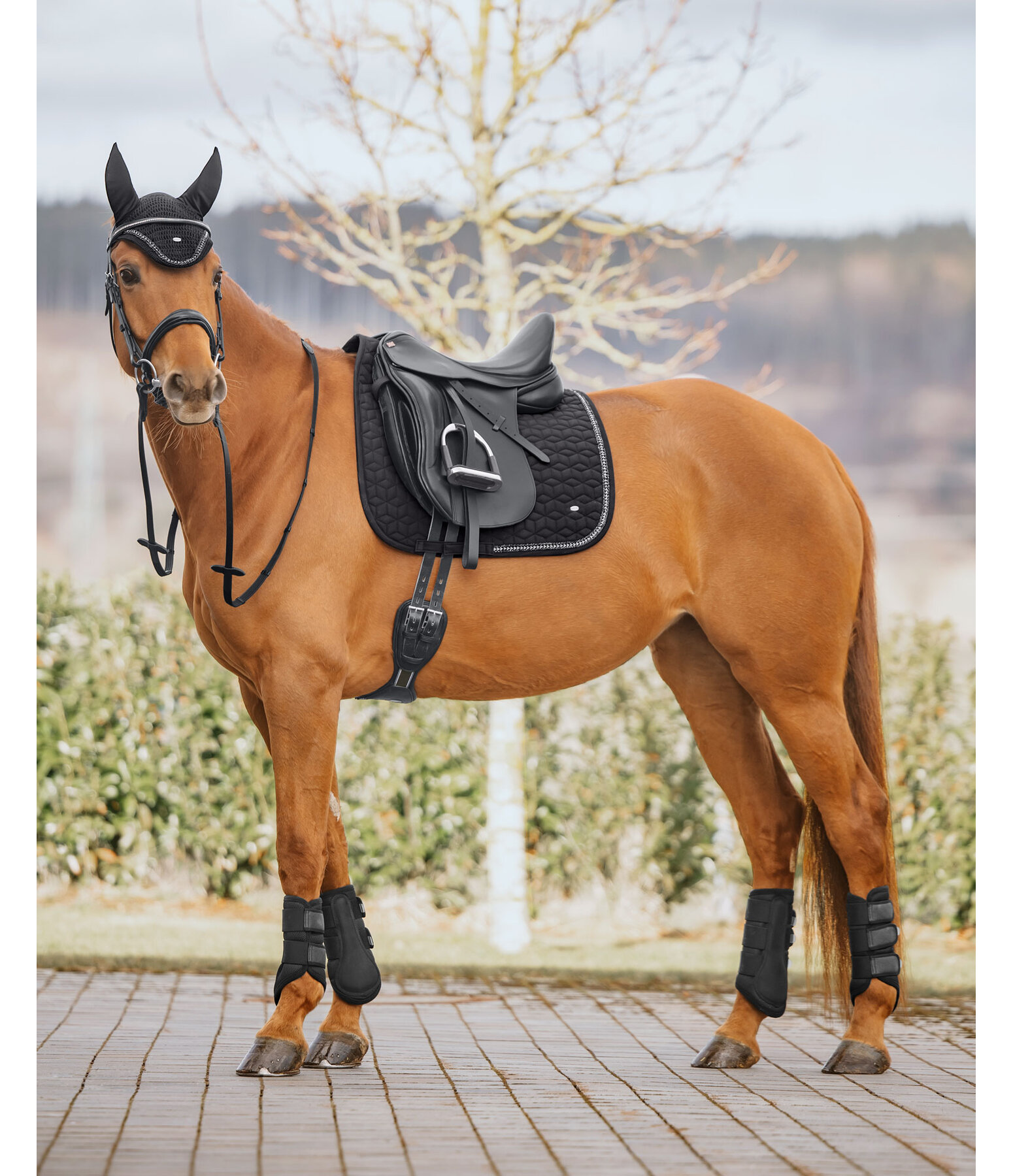 Tapis de selle  Twinkle