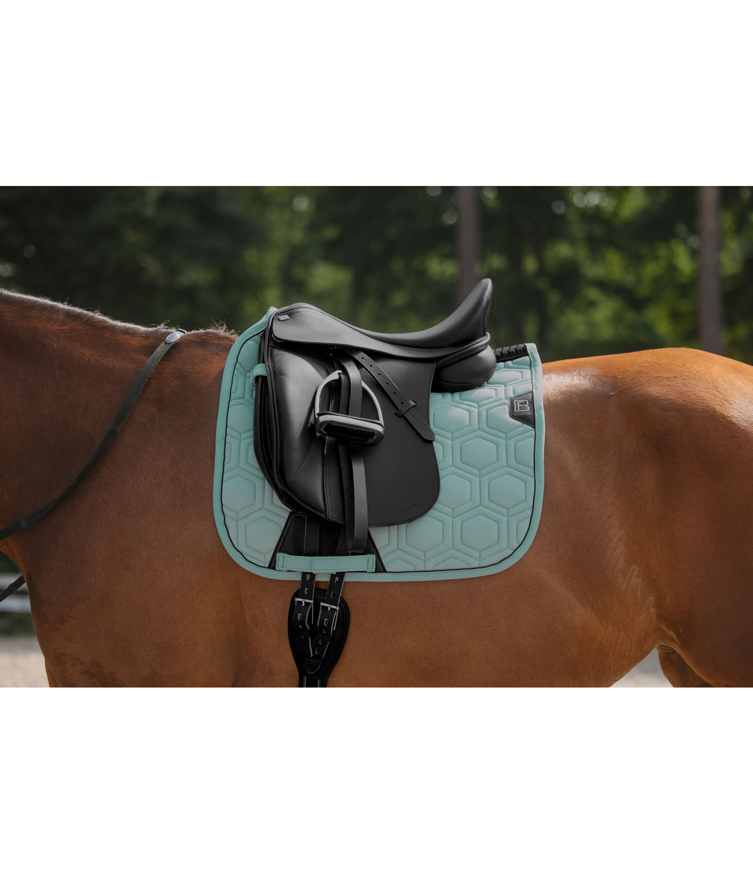 Tapis de selle  Mesh-Technology