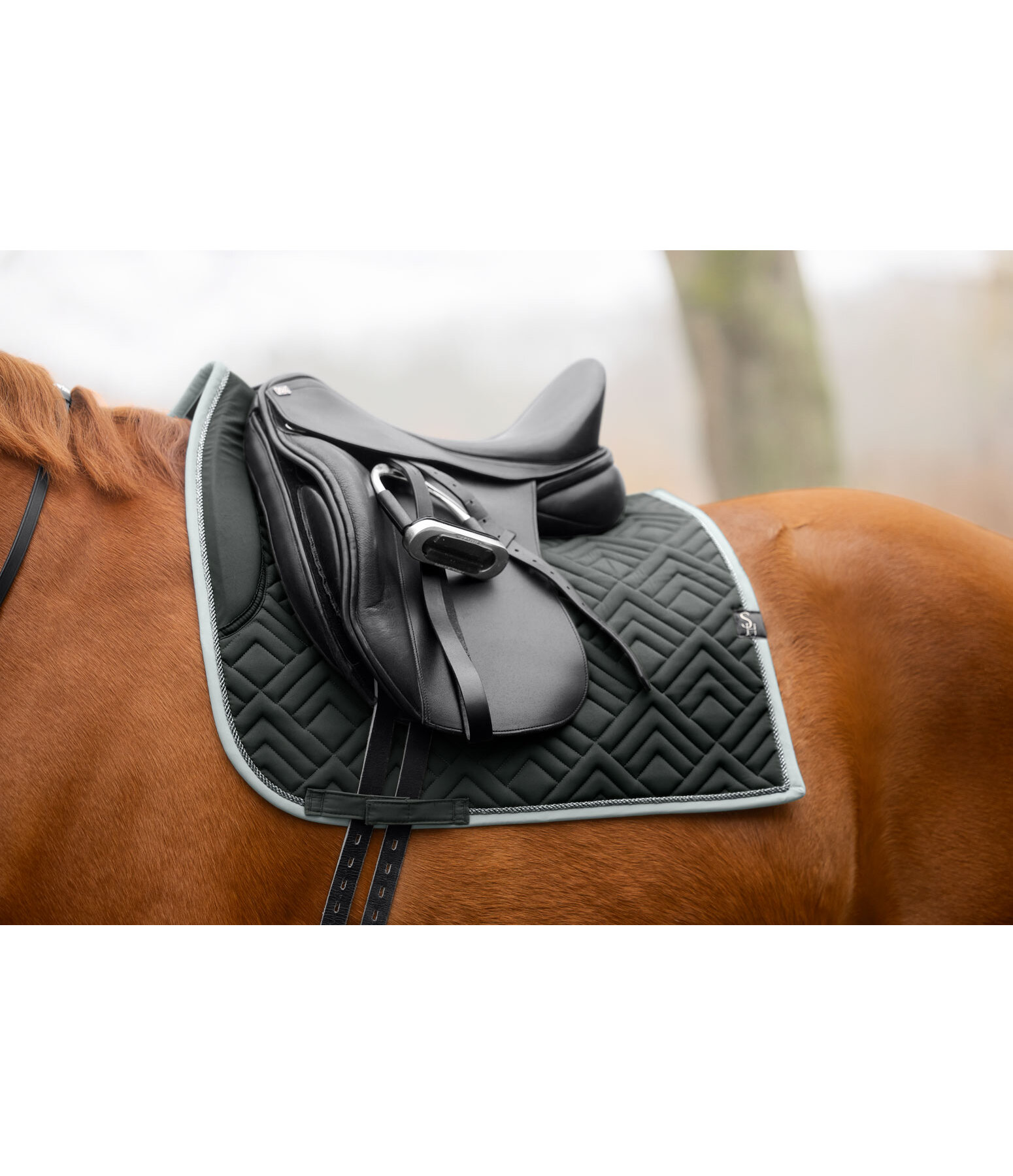 Tapis de selle  Glimmering